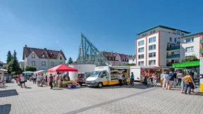 Ideen für Wäldchen und Wasserspiele