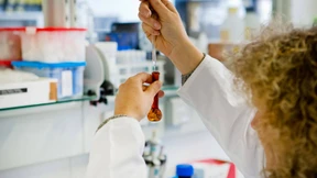 2035 fast eine halbe Million Arbeitskräfte zu wenig in Hessen