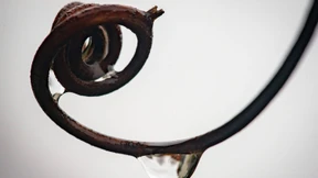 Gute Nachrichten vom Wasser