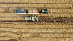 Missbrauchen Unternehmen die Inflation für überzogene Preiserhöhungen?