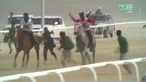 Mehr Schutz für die Pferde?