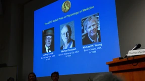 Nichts ist ungerechter als ein Nobelpreis