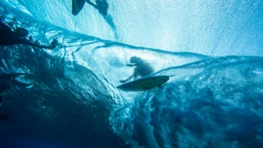 Karriereziel Klimakollaps