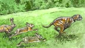 Steuern und schützen