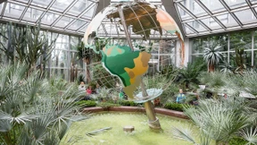 Internationale Aktienfonds eignen sich als langfristige Basisanlage