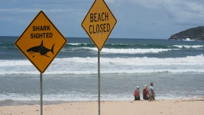 Zwölfjähriger stirbt Tage nach Haiattacke in Australien