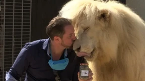 „Die Besucher wünschen sich schon lange Großkatzenkot“