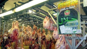 Halal-Fleisch darf kein Bio-Siegel tragen