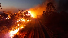 Europa droht Bolsonaro mit Blockade