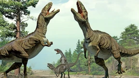 Der Tanz der Dinosaurier