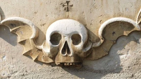 Die Zwangskollektivierung des Reichtums