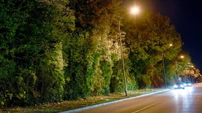 Erste Anklagen wegen Vergewaltigungsfall in Freiburg