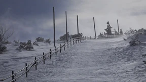 Überleben im Schatten der Gnade