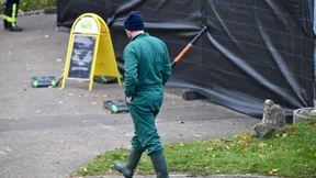 Tausende Hühner müssen getötet werden