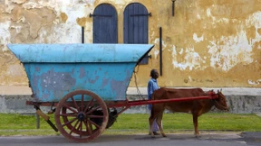 Den Tropen eine Tribüne in Sri Lanka