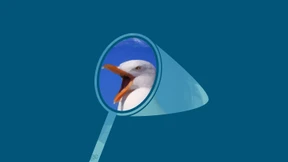 Punkt, Punkt, Komma, Strich