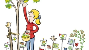 Rochade im Beet: Her mit den kleinen Mirabellen