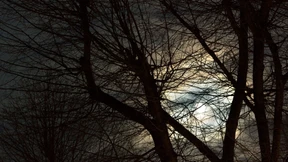 Die besten Krimis 2025