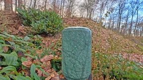 Baumsterben auch in Bestattungswäldern