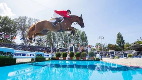 Zicken und Angsthasen