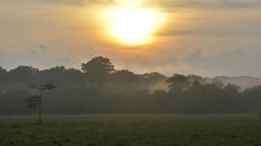Lichtung und Wahrheit