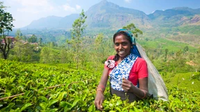 Ein Recht auf Fairness