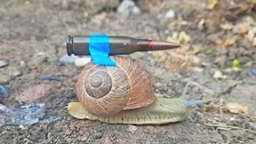 Warum halten sich die Deutschen zurück?