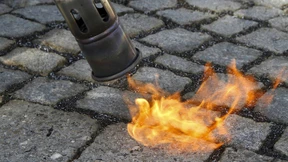 82-Jähriger zündet aus Versehen Zaun, Hecke und Bäume an