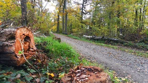 Widersprüche gegen Funkmast