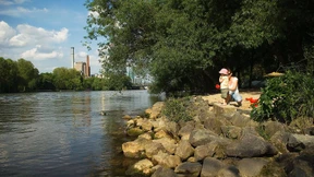 Fünf Orte am Main, die man kennen sollte