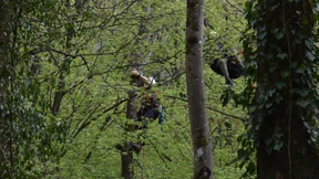 Abgestürzter Gleitschirmpilot muss aus Bäumen gerettet werden