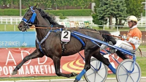 „Der FC Bayern spielt ja auch nicht halbherzig“