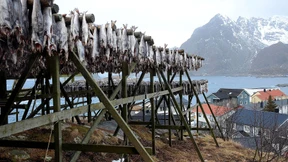 Der Traum der Zungenschneiderin