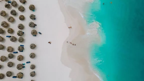 Seegraswiesen schützen Inseln und Klima