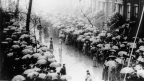 Die Regenschirme vom Washington Place