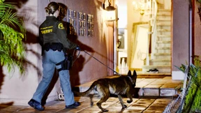 Mehr als 750 mutmaßliche Kartellmitglieder bei Großrazzia festgenommen