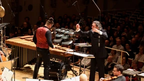 Die können nur nachäffen