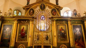 Die Rückkehr einer Schönheit