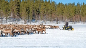 Wie der grüne Wandel Europas letztes indigenes Volk bedroht