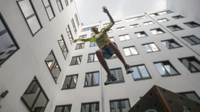 Lauter Katzen und ein Affe