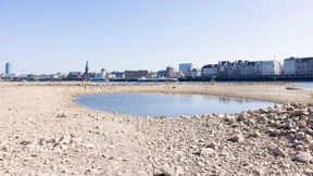 Bundesregierung verliert im Streit um Klimaschutz