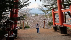 Die japanische Malaise