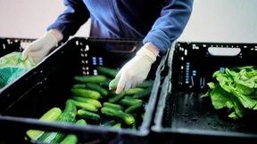 Noch zu wenige Kontrolleure