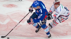 Zerzauste Eisbären