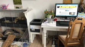 So arbeiten wir in der Pandemie