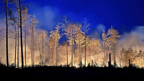 So bekämpft die Feuerwehr den Waldbrand in Jüterbog