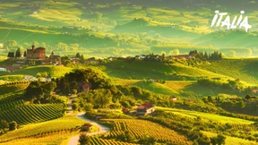 Kulinarik vom Feinsten