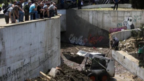Entlaufener Tiger tötet Mann in Tiflis