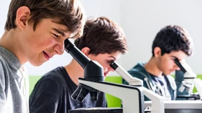 Leistungsniveau in Mathe und Naturwissensschaften gesunken