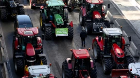 EU-Klimaplan könnte Bauernproteste neu entfachen